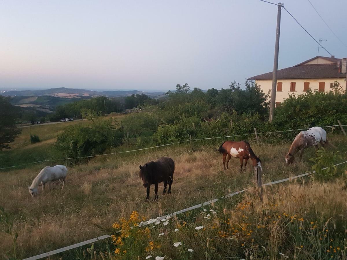 Agriturismo Piccola Raieda Villa Sasso Marconi Exterior foto