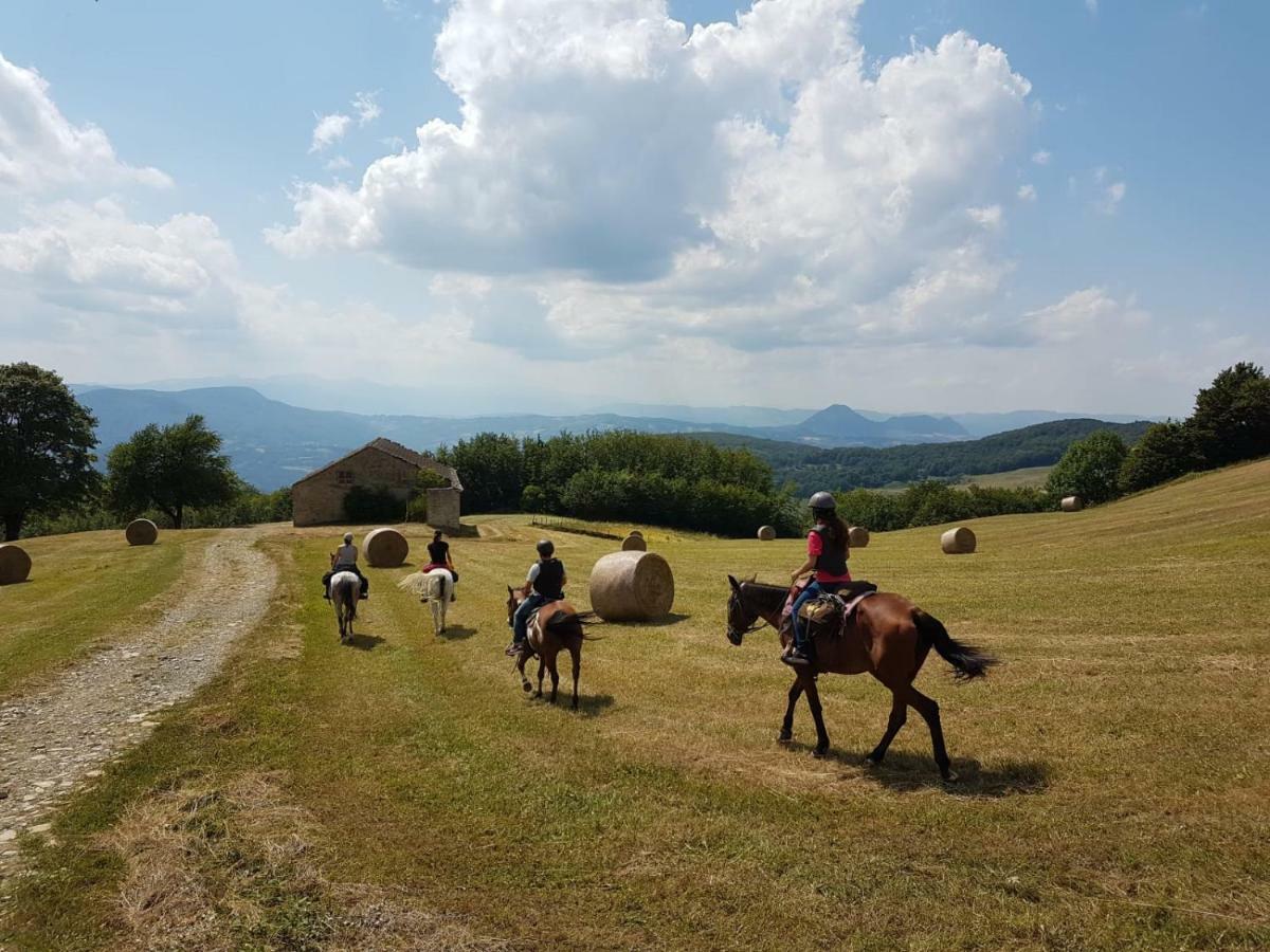 Agriturismo Piccola Raieda Villa Sasso Marconi Exterior foto
